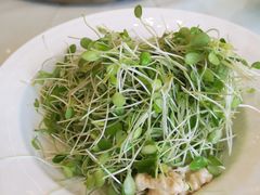 -宏宴·新京菜(望京店)