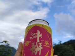 -牛背梁国家森林公园
