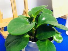 -小院儿童绘馆(富国里店)