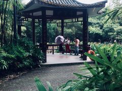 -大屏嶂森林公园