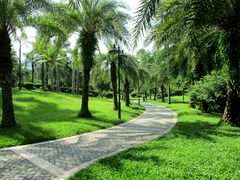 景点-广州珠江公园