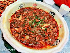 毛血旺-陈麻婆豆腐总店
