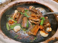 黄鳝啫啫煲-惠食佳(滨江大公馆店)
