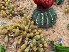 -华南国家植物园-售票处