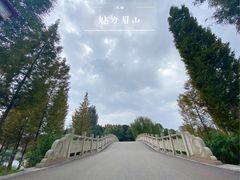 -眉山湿地公园(东坡区)