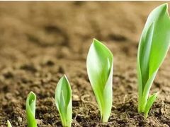 -宝岛眼镜·星创视光中心(百联世纪购物中心店)