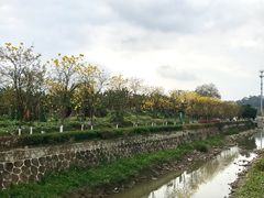 -长洲岛