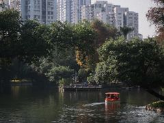 -晓港公园