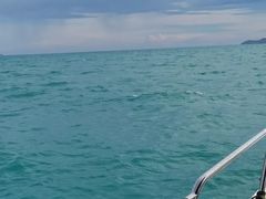 -小猫钓鱼海钓俱乐部(椰梦长廊店)