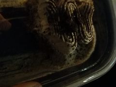 -BreadTalk面包新语·烘焙蛋糕(东方宝泰广场店)