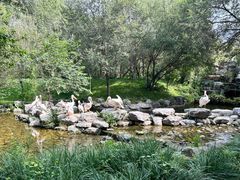 -北京野生动物园