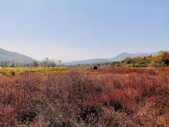-塔川景区