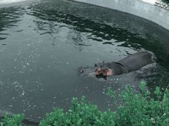 -济南野生动物世界
