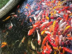 -番禺宾馆丽苑厅