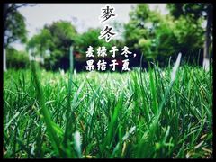 -西湖风景区-江洋畈生态公园