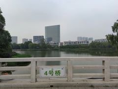 -大兴滨河森林公园