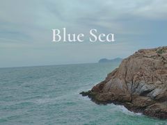 -广东惠东海龟国家级自然保护区