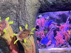 -郑州海洋馆