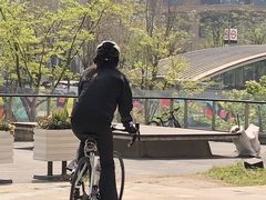 -云锦路(地铁站)