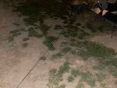 -爪吧宠物乐园 (温榆河示范区店)