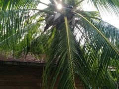 -白沙门生态公园