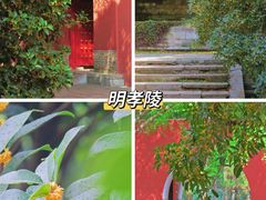 -鸡鸣寺
