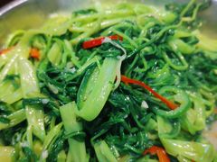 -农汤老店(顺联公园里店)