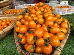 -南坛综合农贸市场