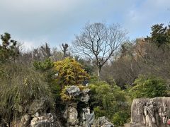 -采石矶景区