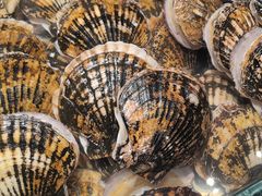 -百富源·海鲜辽菜(和平北大街店)