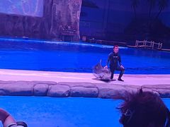 -华夏文旅海洋公园