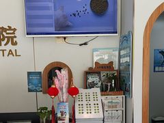 -丹景宠物医院·全科·老年病·牙科(武昌诊疗中心)