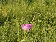 -野三坡清泉山风景区