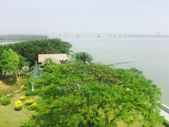 -大湾区中央湿地公园