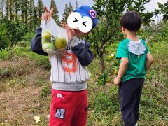 -上海长兴岛郊野公园