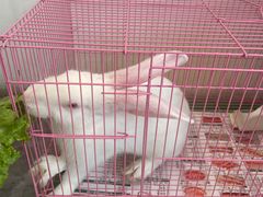 -岳合轩老北京涮肉