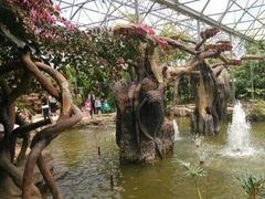 -祥源·阜阳生态乐园