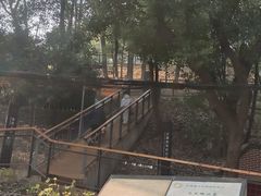 -马王堆汉墓遗址