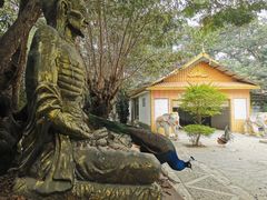 -瑞丽独树成林风景区