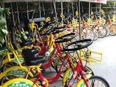 -苏州环秀晓筑养生度假村