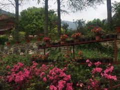 -木兰云雾山