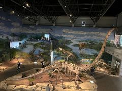 -自贡恐龙博物馆