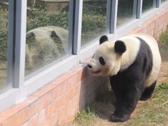 -苏州太湖国家湿地公园