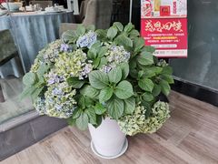 -茅庐·川粤精品私房菜(金沙遗址店)