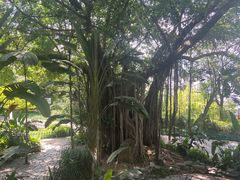 -乌山风景区