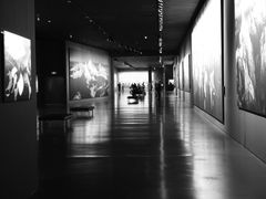 -罗红摄影艺术馆