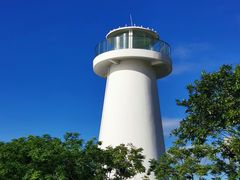 -深圳湾公园(南山区)
