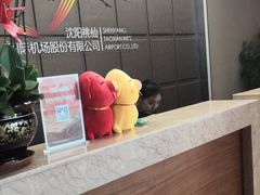-桃仙机场头等舱休息室