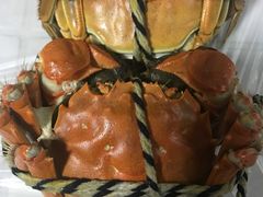 -乡乐园蟹庄·阳澄湖农家乐