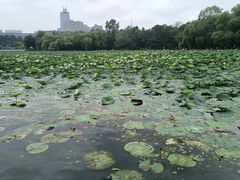 -长春市南湖公园